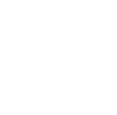 CSIR-NAL